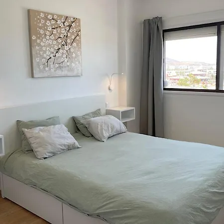 Iguazu Tir24 Floor *